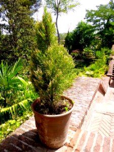 Villaviciosa de Odón - Palacio y Jardines de Manuel de Godoy 03
