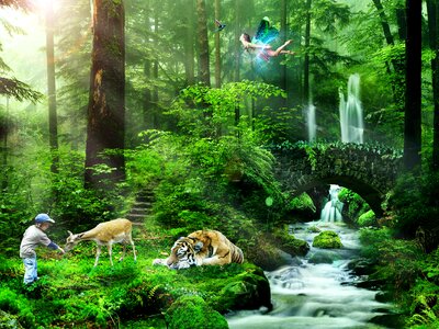 Bach animals fantasy