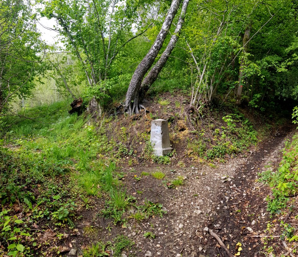 Vijlenerbos-Grenspaal 5b (BE-NL) (7)