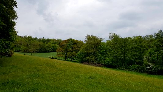 Vijlenerbos-Grenspaal 7 (BE-NL) (8)