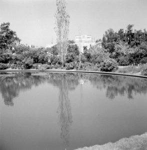 Vijver in het Independance park, Bestanddeelnr 255-2031