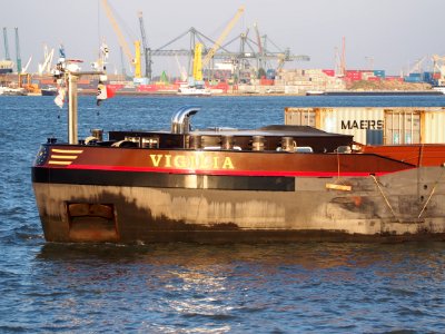 Vigilia (ship, 2008), ENI 04806310, Port of Antwerp pic8