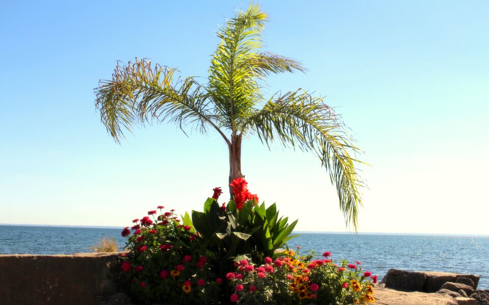 View water holiday