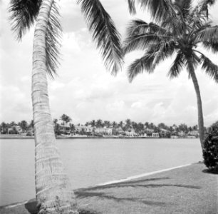 Villa's in Miami Beach, Bestanddeelnr 191-0791