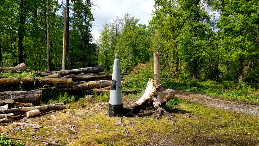 Vijlenerbos-Grenspaal 4 (BE-NL) (4)