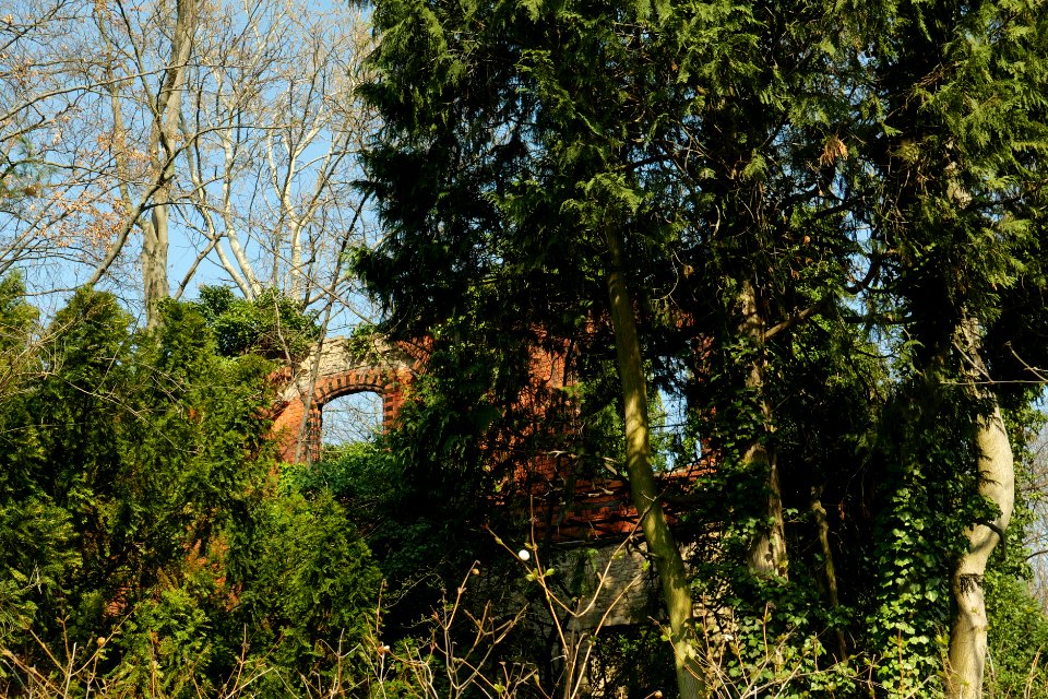 Villa.Hinderer.P1021218