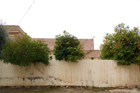 Views walking around the center of Duhok 11