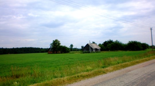 Vilkija, Krekenava