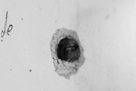 Views on 28th June 2019 of a bullet in a wall at the destroyed Catholic cathedral in Sinjar 18