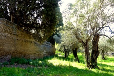 Villa Adriana - Tivoli, Italy - DSC03729