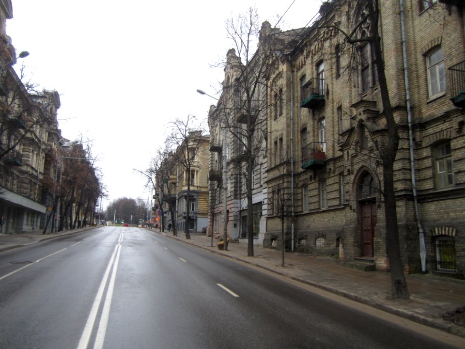 Vilhelmo Šopeno Street, 2016 02