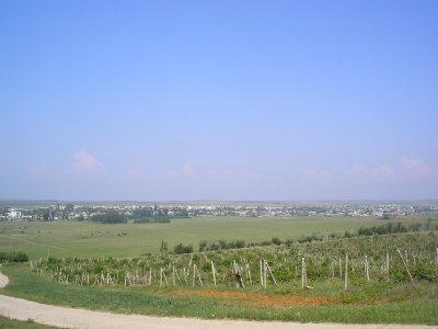 Vilino 6