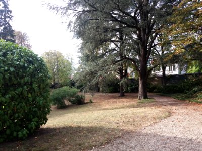 Villa Berliet - Parc 3