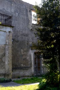 Villa Castagneto-Caracciolo (2017)-3 photo