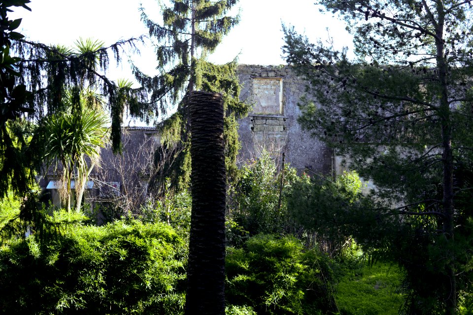 Villa Castagneto-Caracciolo (2017)-1