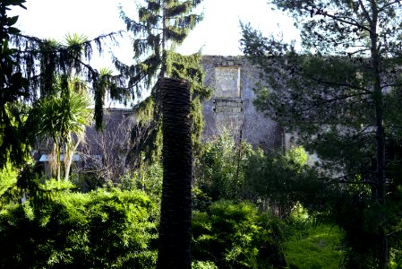 Villa Castagneto-Caracciolo (2017)-1 photo