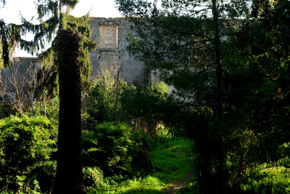 Villa Castagneto-Caracciolo (2017)-2