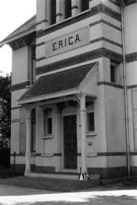 Villa Erica te Avereest (ruilverkaveing Zelhorst), Bestanddeelnr 170-1739