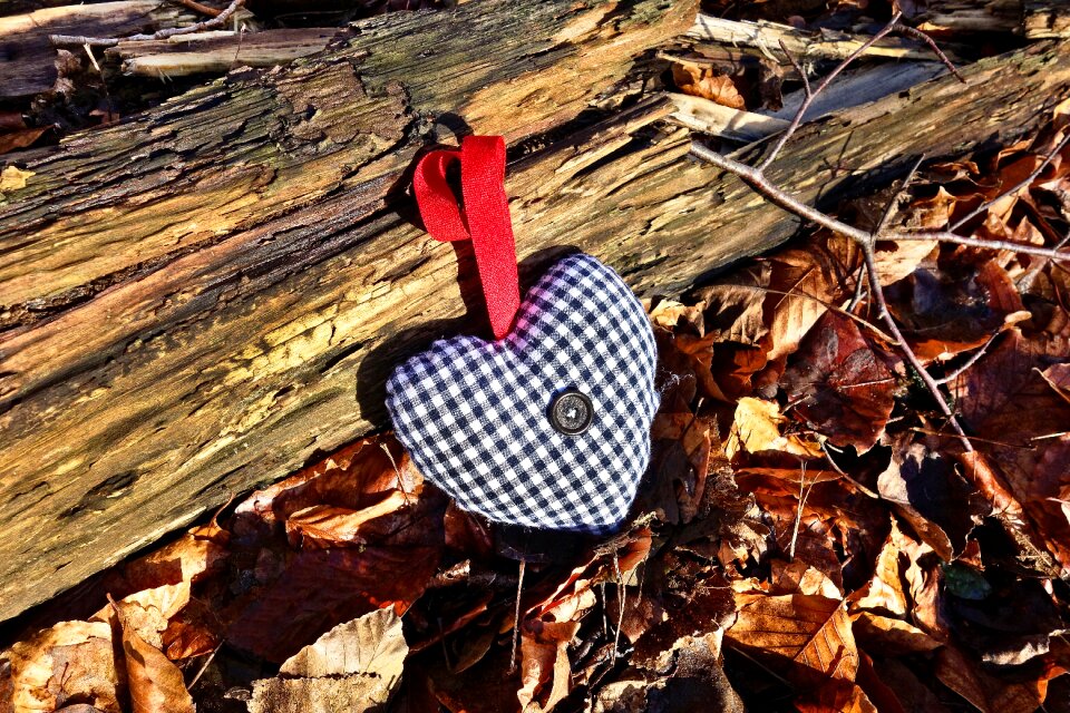 Symbol valentine checked heart
