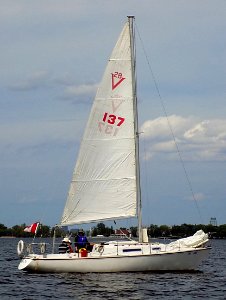 Viking 28 sailboat Blueberry Tea 0656