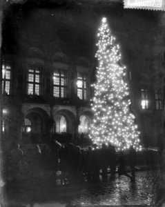 Verlicht Noorse kerstboom op de Coolsingel te Rotterdam, Bestanddeelnr 910-8877