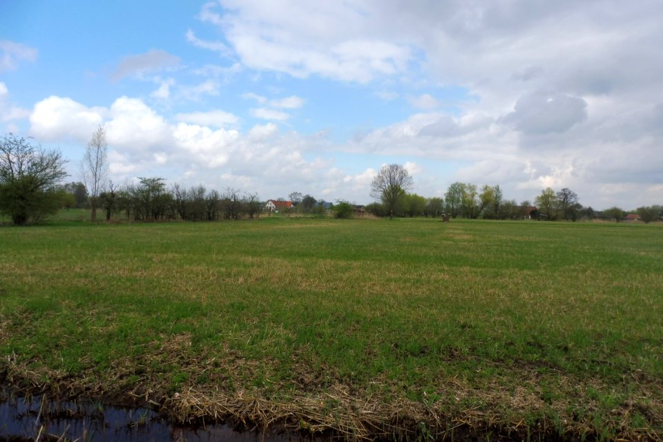 Verlar - NSG Rabbruch und Osternheuland - 6