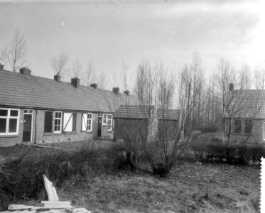 Verlaten dorp Kuinderburg in de Noordoostpolder, Bestanddeelnr 910-1729