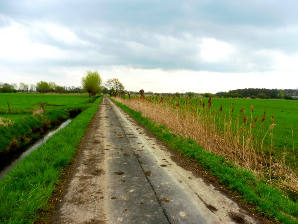 Verlar - NSG Rabbruch und Osternheuland - 8
