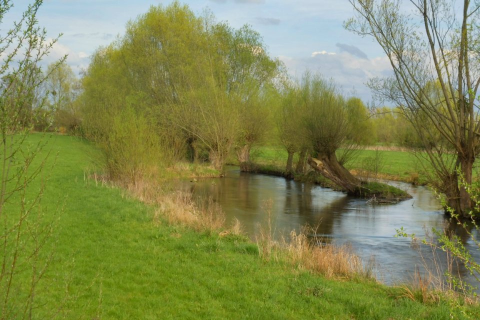 Verne - Hederaue - 2