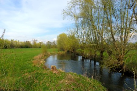 Verne - Hederaue - 1