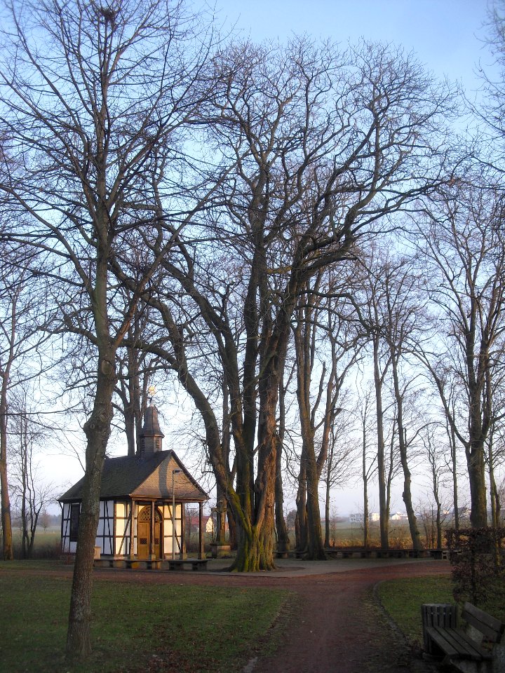 Verne-Kastanie an der Wallfahrtskapelle