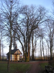 Verne-Kastanie an der Wallfahrtskapelle