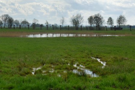 Verlar - NSG Rabbruch und Osternheuland - 1