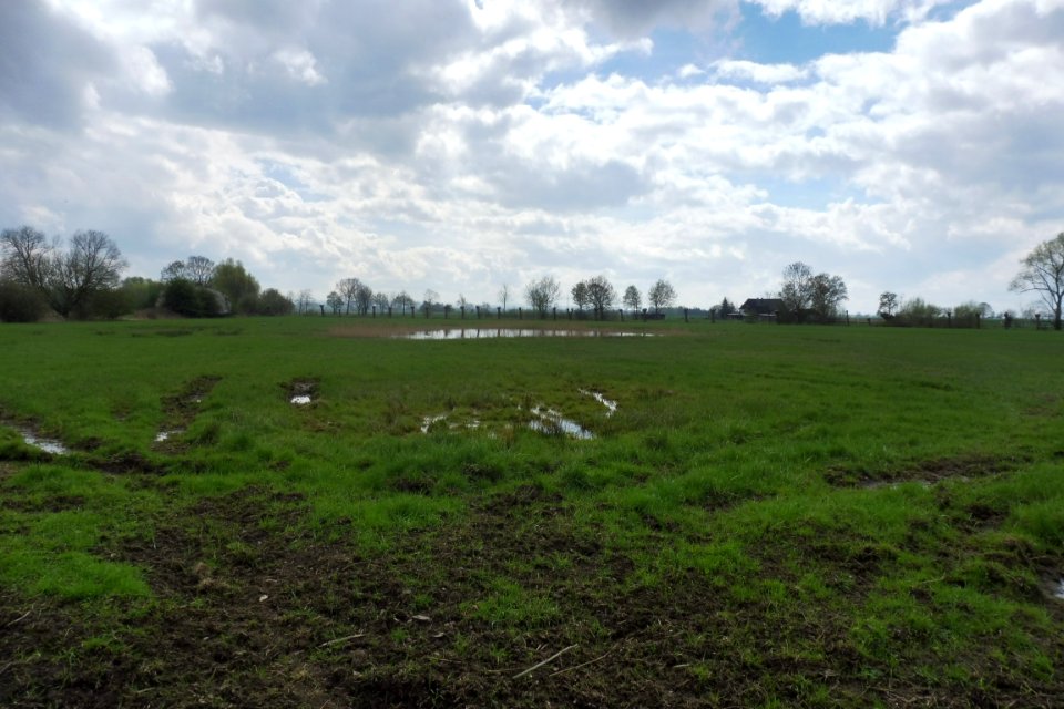 Verlar - NSG Rabbruch und Osternheuland - 2