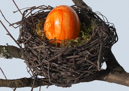 Easter decoration easter egg egg