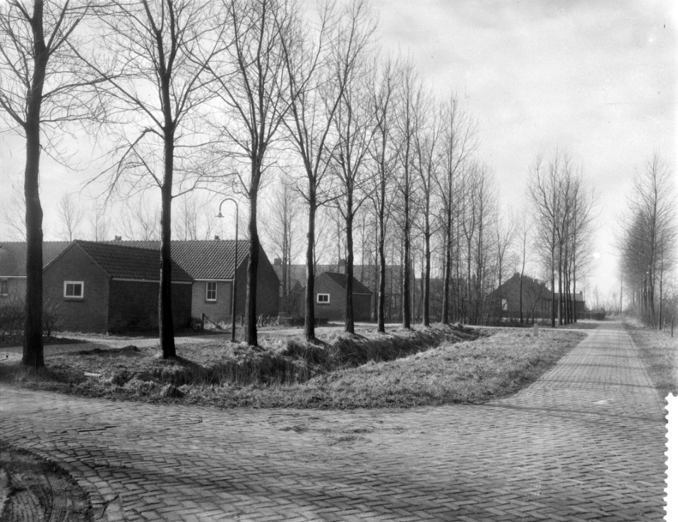 Verlaten dorp Kuinderburg in de Noordoostpolder overzicht van het dorp, Bestanddeelnr 910-1733