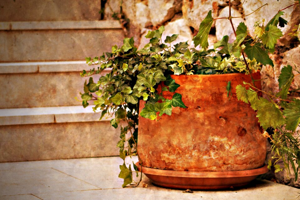 Stair mood potted flower