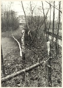 Vernielingen in het Engelandpark. NL-HlmNHA 54005099