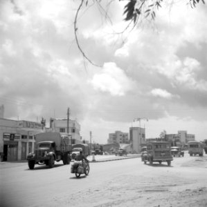 Verkeer op de oude straatweg van Haifa naar Tel Aviv, Bestanddeelnr 255-0807