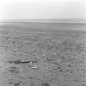 Verontreinigingen, strand, kijkduin, Bestanddeelnr 167-0070