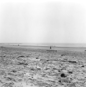 Verontreinigingen, strand, kijkduin, Bestanddeelnr 167-0075