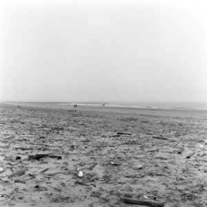 Verontreinigingen, strand, kijkduin, Bestanddeelnr 167-0072