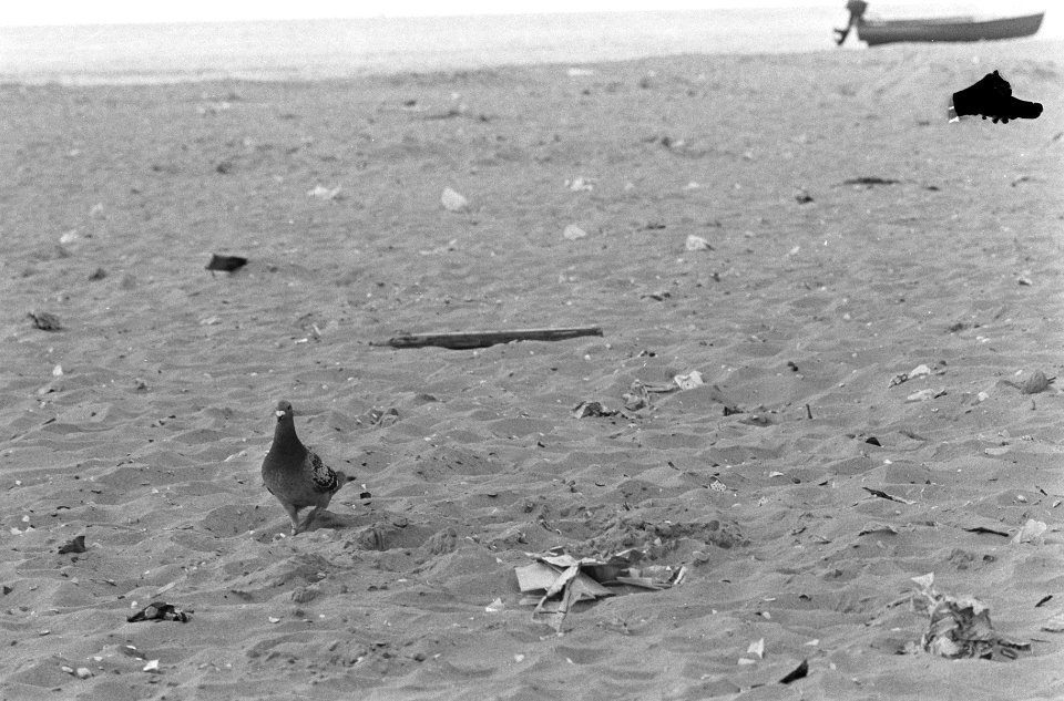 Verontreinigd strand (papier op strand), Bestanddeelnr 920-5348