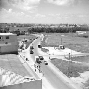 Verkeer op de oude straatweg van Haifa naar Tel Aviv, Bestanddeelnr 255-0810