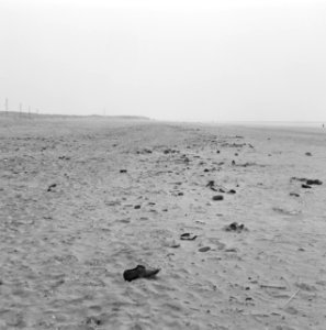 Verontreinigingen, strand, kijkduin, Bestanddeelnr 167-0071