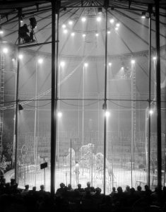 Verlichting interieur Circus Mikkenie. Tijgerkooi, Bestanddeelnr 903-0655