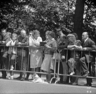 Verloving Prinses Beatrix , drukte langs de weg, Bestanddeelnr 917-9128