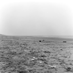 Verontreinigingen, strand, kijkduin, Bestanddeelnr 167-0078