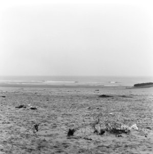 Verontreinigingen, strand, kijkduin, Bestanddeelnr 167-0076