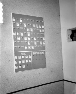 Verlammingsverschijnselen in fabriek te St Michels Gest, Bestanddeelnr 911-3423